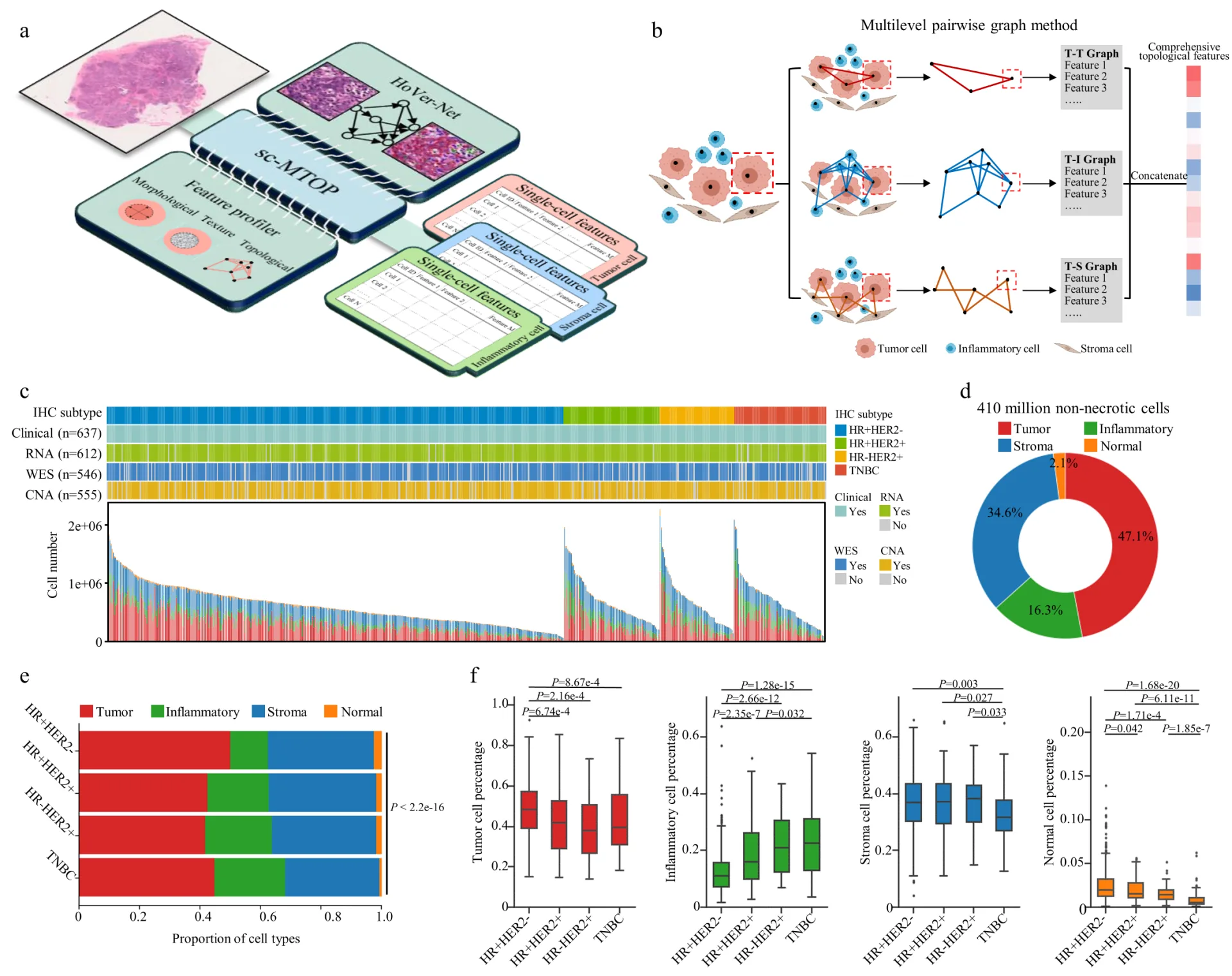 Digital Pathology + Artificial Intelligence: 400 Million Cell Atlas Analyzes Breast Cancer Ecotypes