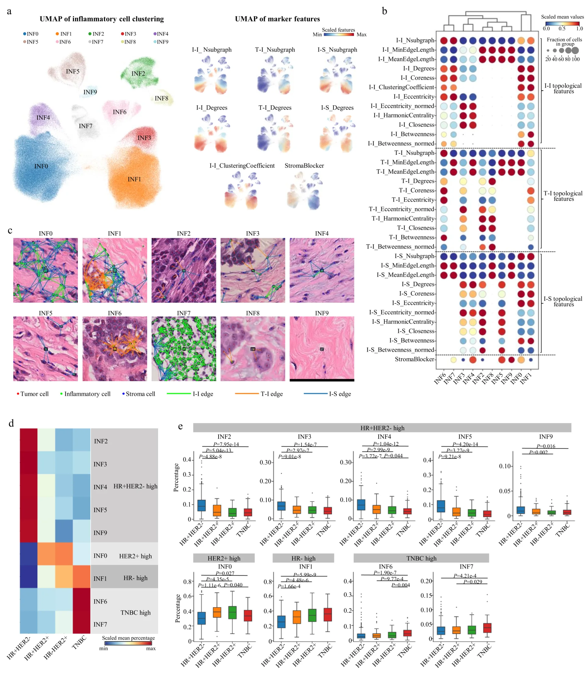 Digital Pathology + Artificial Intelligence: 400 Million Cell Atlas Analyzes Breast Cancer Ecotypes