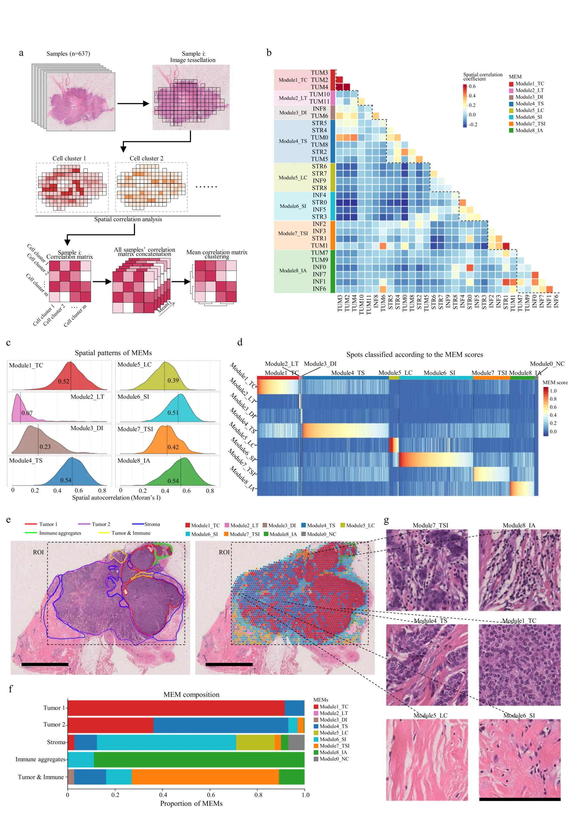 Digital Pathology + Artificial Intelligence: 400 Million Cell Atlas Analyzes Breast Cancer Ecotypes