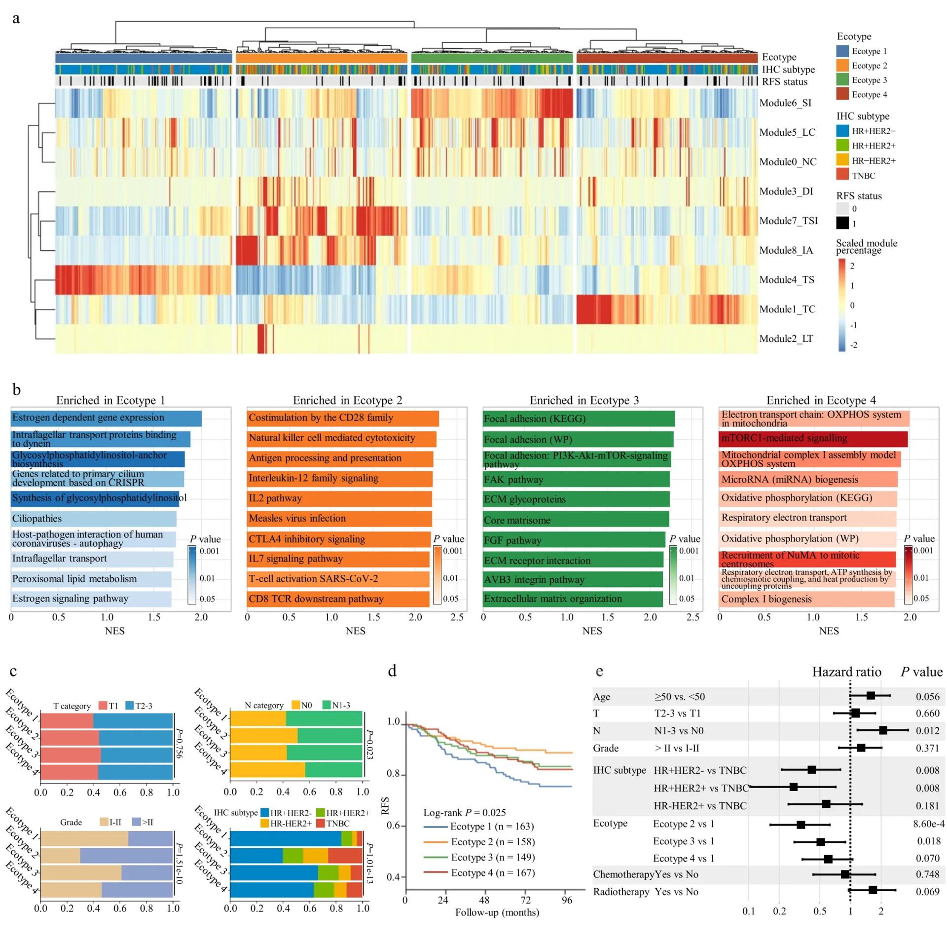 Digital Pathology + Artificial Intelligence: 400 Million Cell Atlas Analyzes Breast Cancer Ecotypes