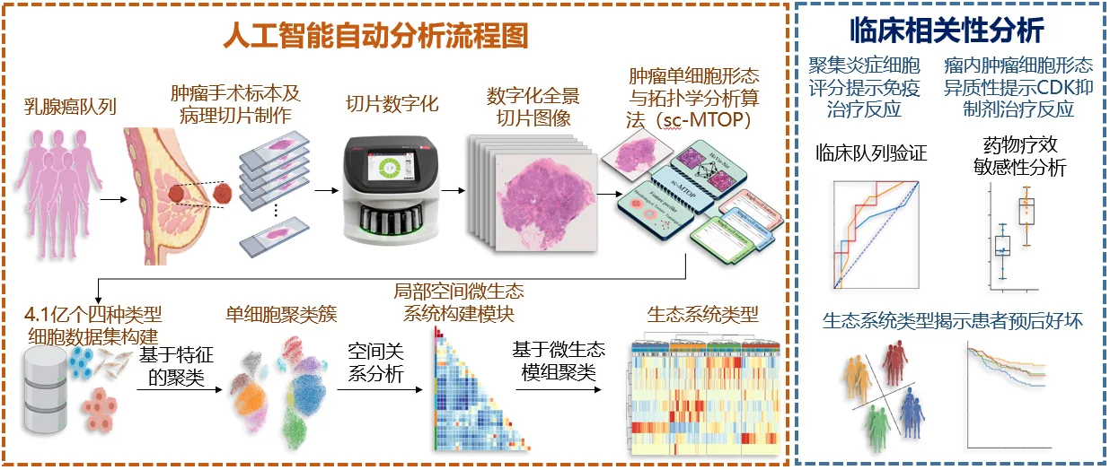 The laboratory was approved as a special project for smart diagnosis and treatment of major diseases