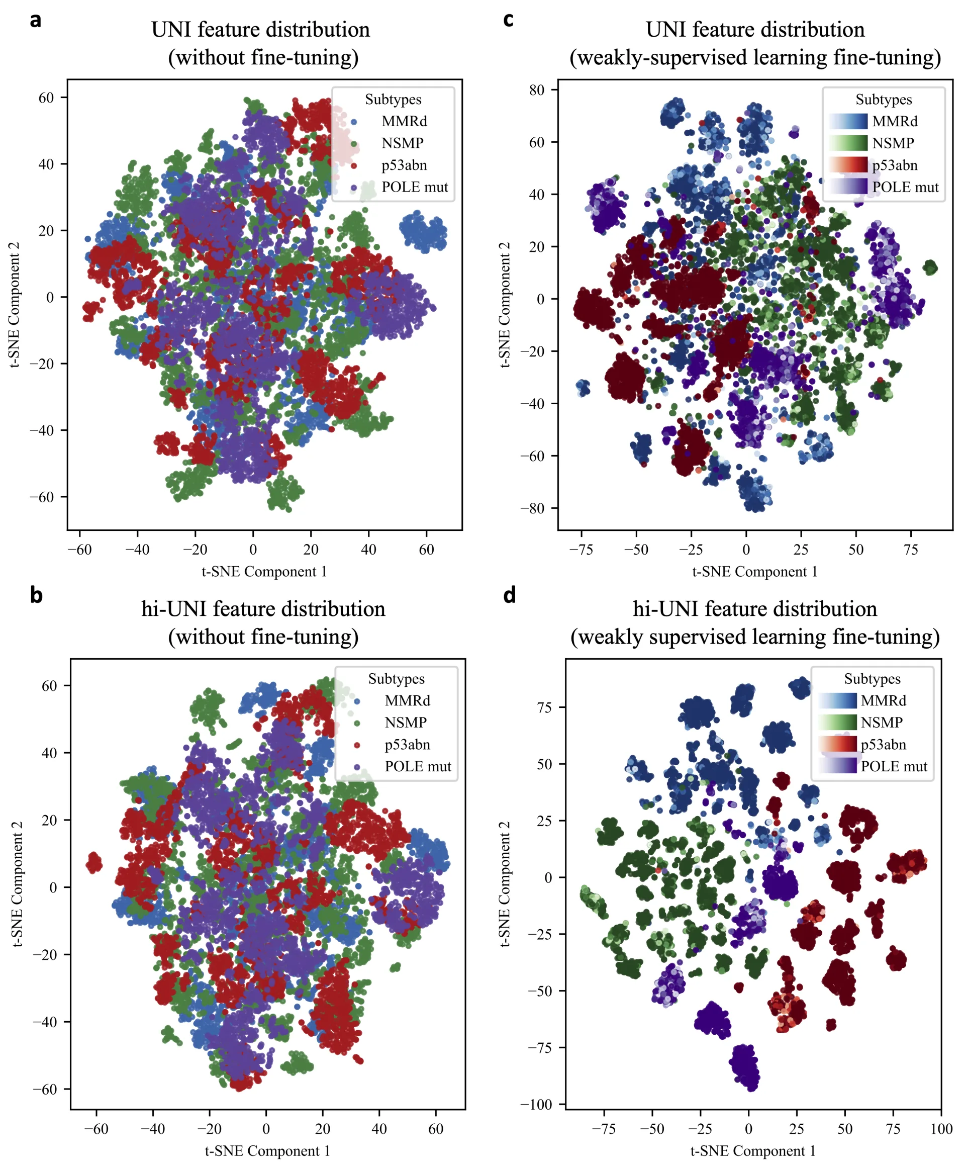 The paper collaborated by the key laboratory and the team of Professor Wu Xiaohua from the Department of Gynecology and Oncology of Fudan University Cancer Hospital was accepted by the journal Bioinformatics