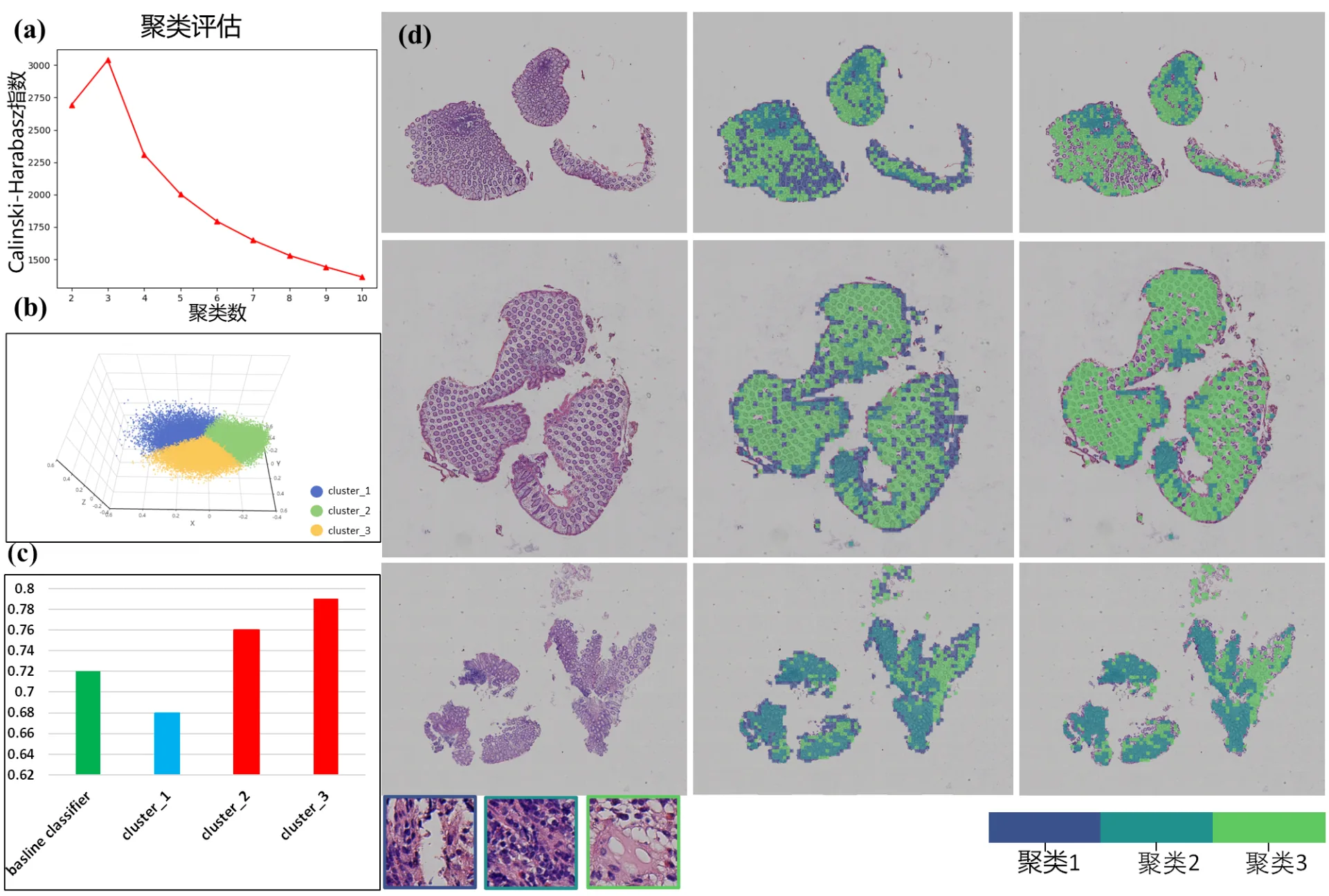 The research results of Cai Chengfei, a doctoral student in the Key Laboratory, were accepted by Bioinformatics, a top journal in bioinformatics.