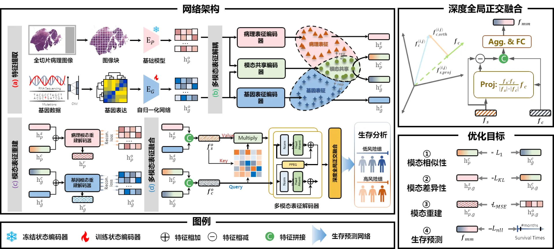 The research results of Liu Mingxin, a doctoral student in the laboratory, were accepted by MICCAI2025, the top conference in the field of medical image computing.
