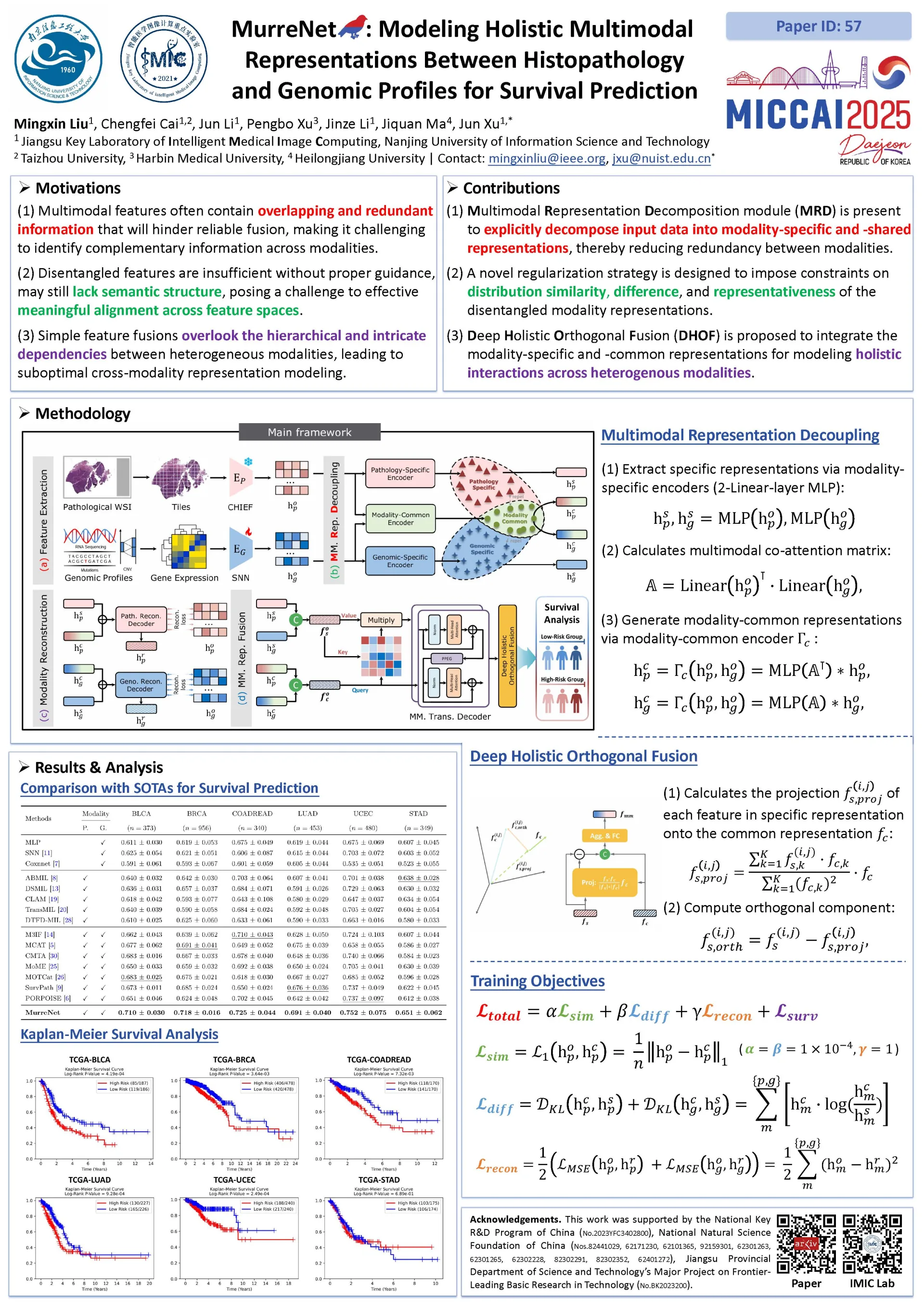 A holistic multimodal interaction model between histopathology and genomic profiles for patient survival prediction.