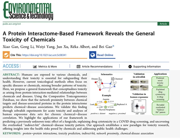 A multidisciplinary team of IMIC laboratories and environmental sciences proposed a protein interaction network framework that can reveal chemical toxicity