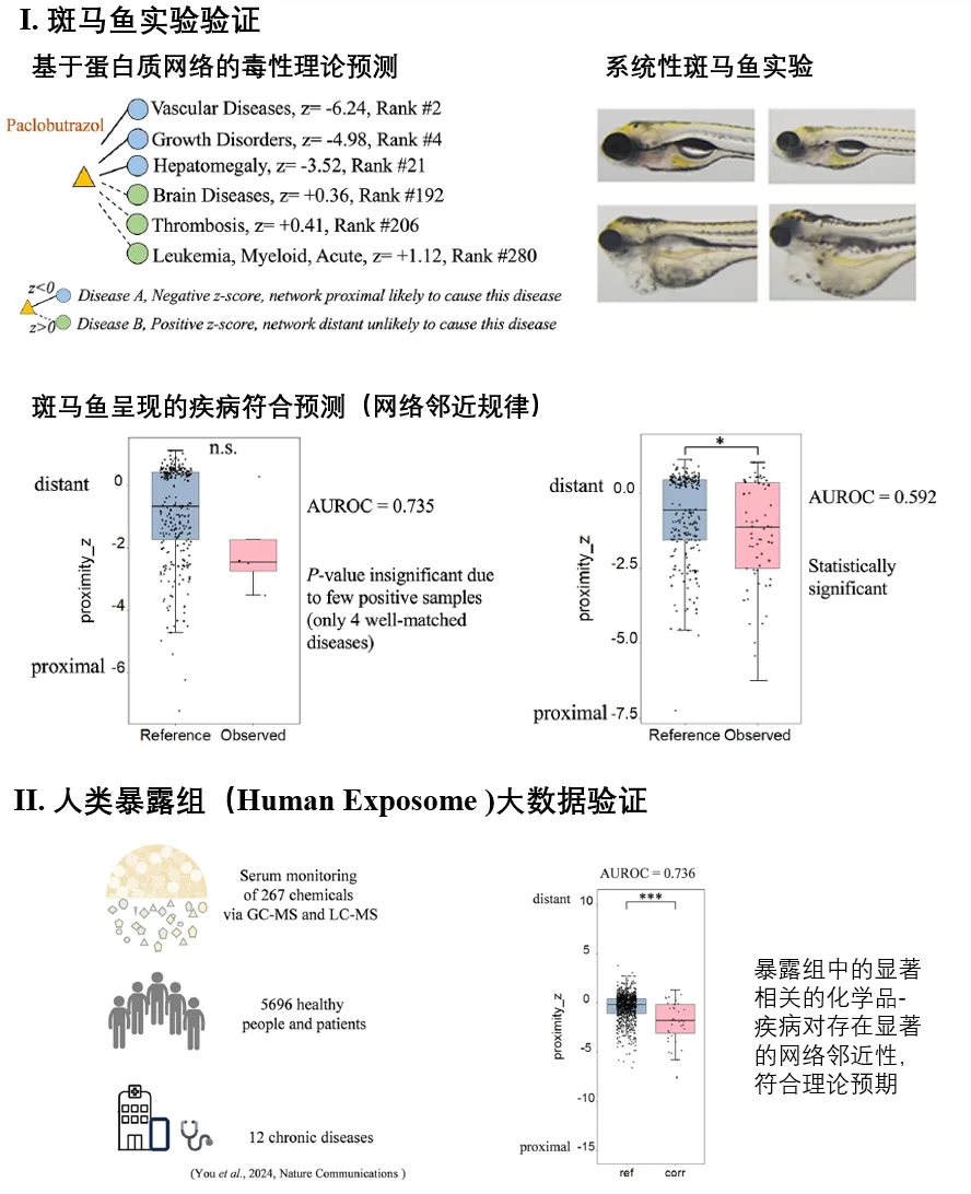 A multidisciplinary team of IMIC laboratories and environmental sciences proposed a protein interaction network framework that can reveal chemical toxicity