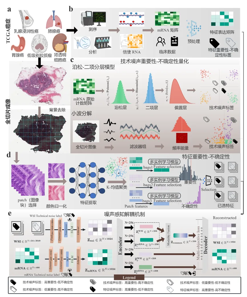 Many recent achievements of IMIC laboratory have been accepted by top conferences in the field.