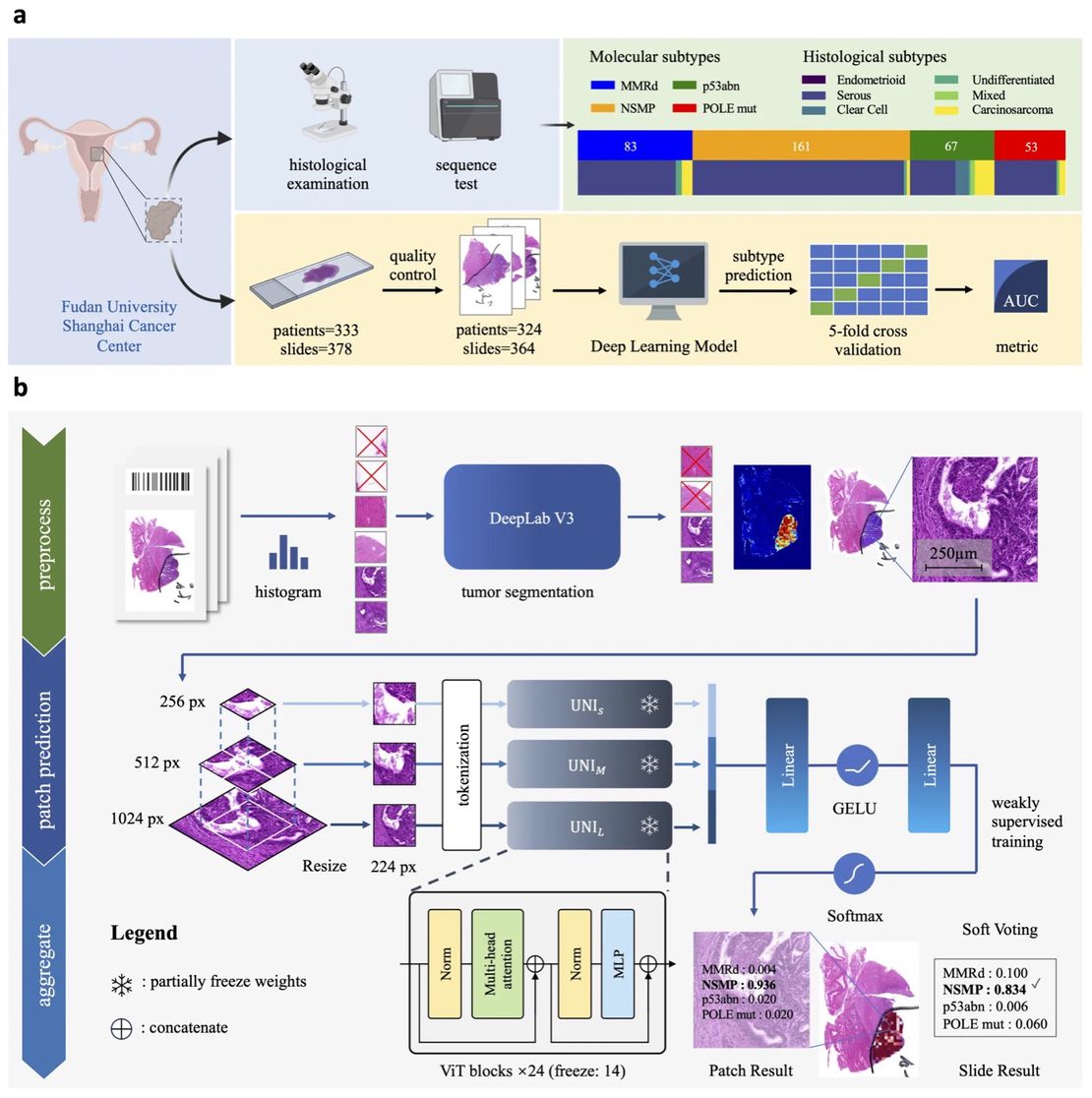 The paper collaborated by the key laboratory and the team of Professor Wu Xiaohua from the Department of Gynecology and Oncology of Fudan University Cancer Hospital was accepted by the journal Bioinformatics
