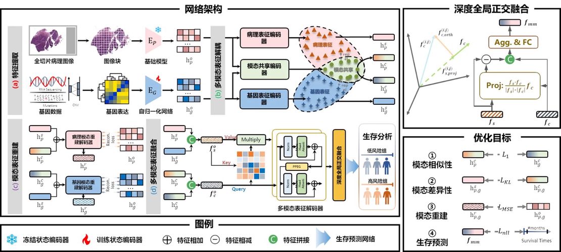 The research results of Liu Mingxin, a doctoral student in the laboratory, were accepted by MICCAI2025, the top conference in the field of medical image computing.