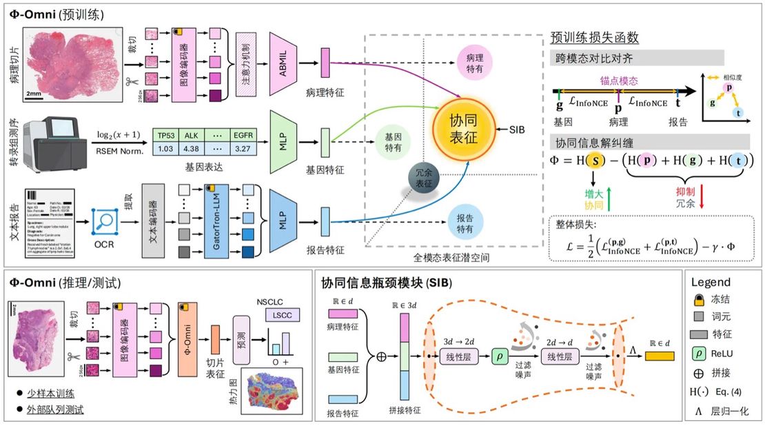 Many recent achievements of IMIC laboratory have been accepted by top conferences in the field.